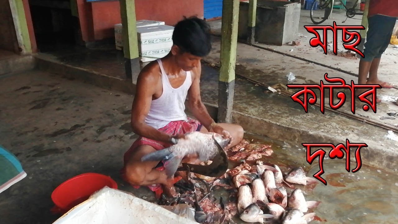 গ্রামের বাজারে মাছ কাটার দৃশ্য