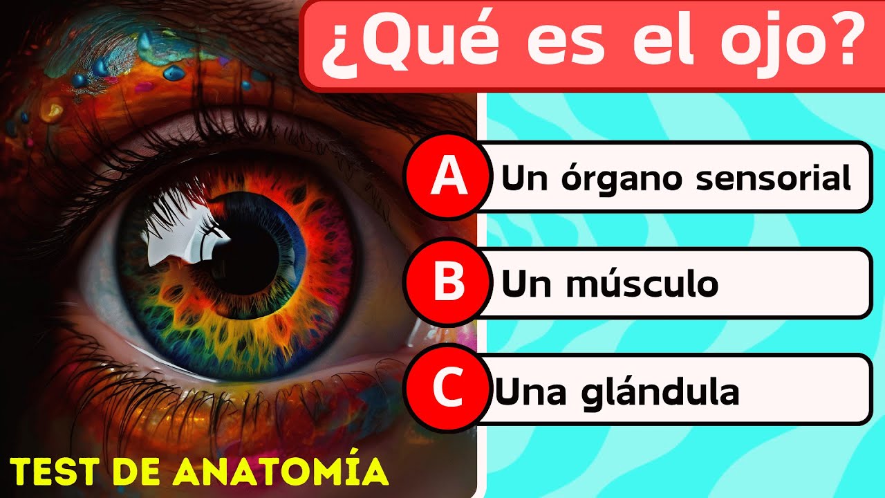 &iquest;Cu&aacute;nto sabes de 
