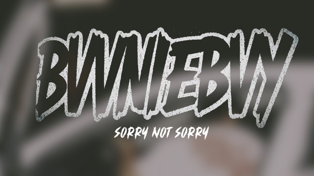 BvvnieBvy - Sorry Not Sorry (Demo) 
