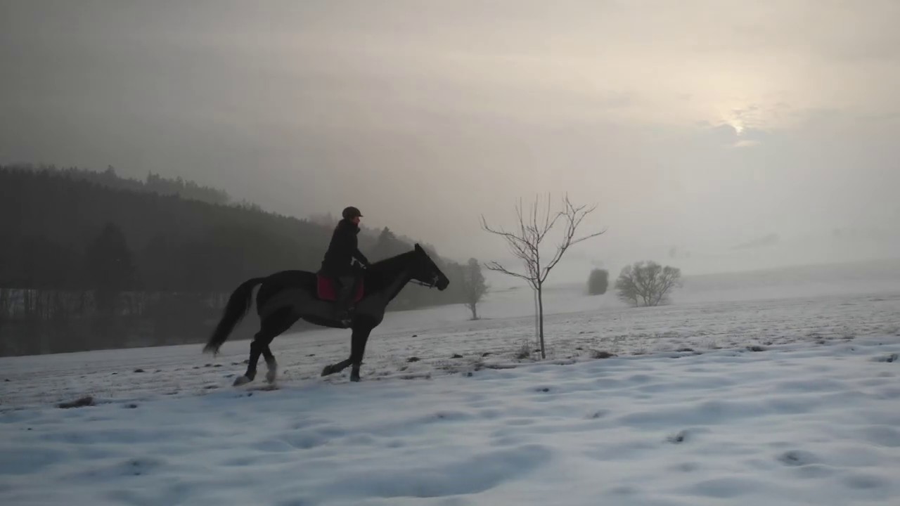 Pferd galoppiert im Schnee - 26.J&auml;n.2020