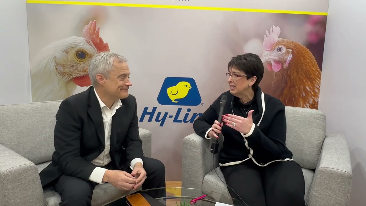 IPPE: Hy-Line focuses on genetic breeding to improve egg production on poultry farms