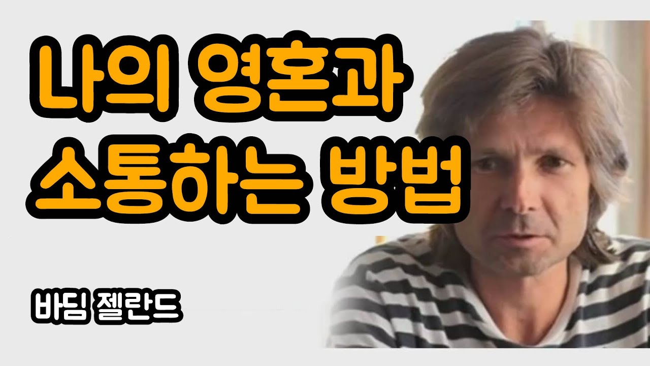 선택의 순간 나의 영혼에 귀 기울이세요 | 바딤 젤란드, 리얼리티 트랜서핑 1, 동기부여