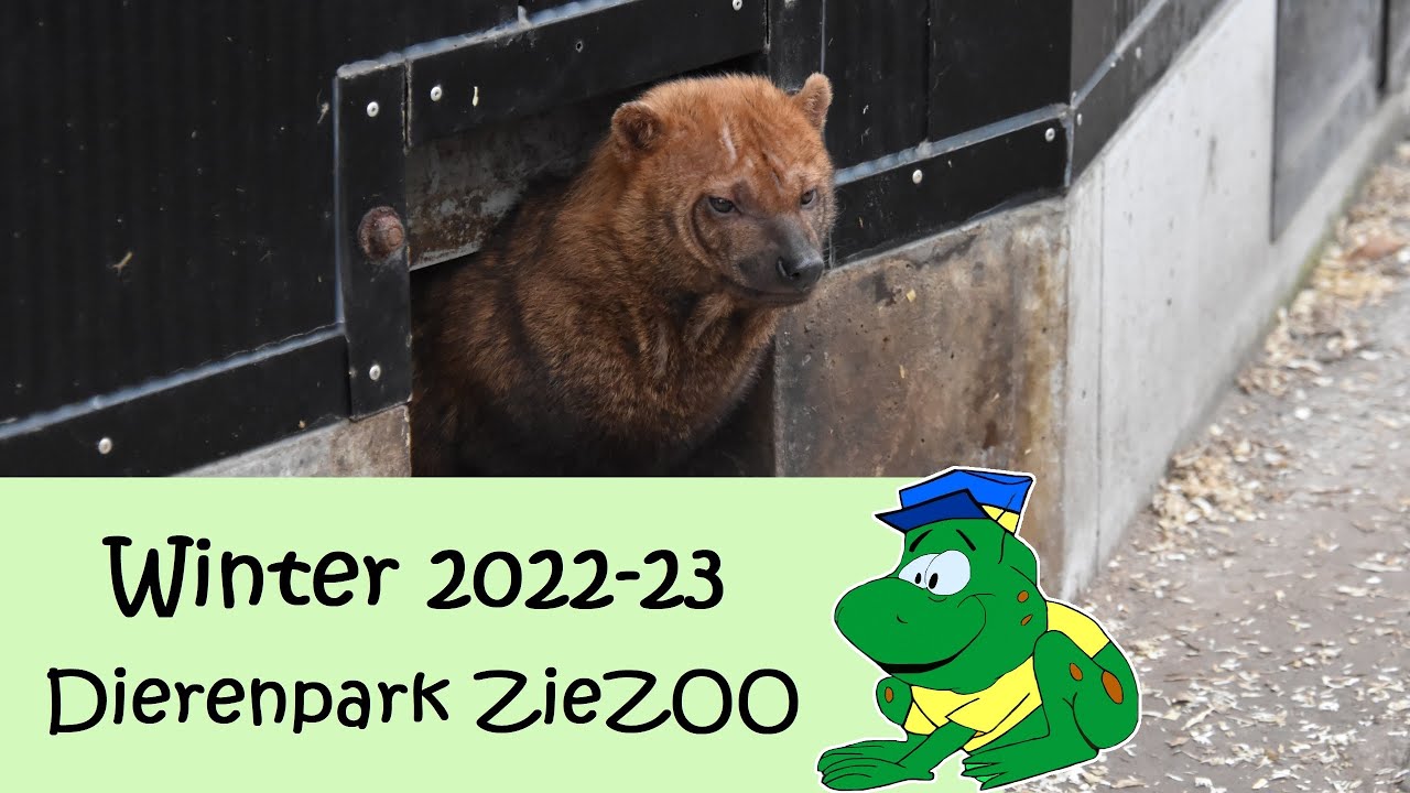 Dierenpark ZieZoo, winter 2022-2023