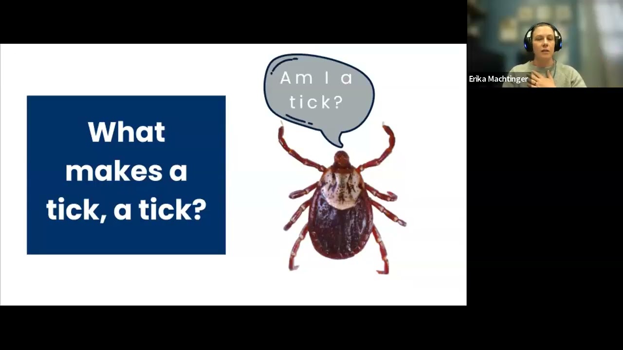 Managing Ticks on Horses