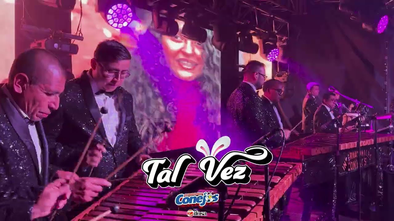 Tal Vez  -  Internacionales Conejos 4K (Video Oficial)