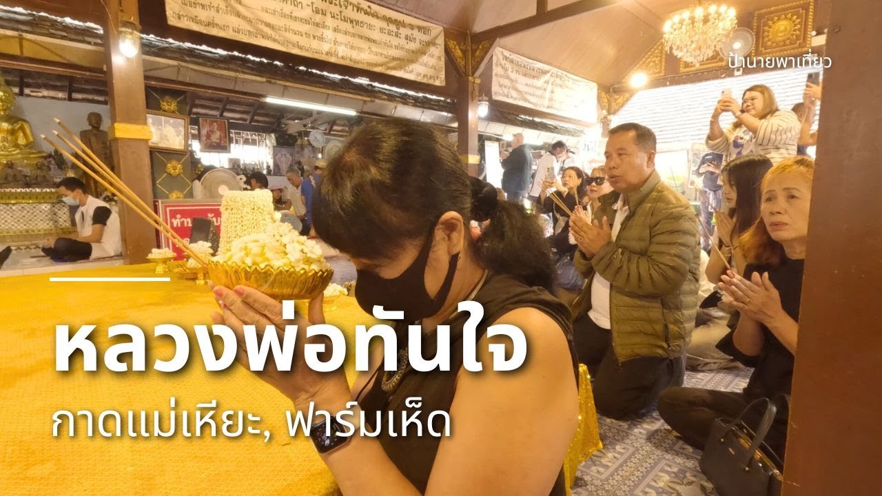 ไหว้พระปีใหม่ ที่วัดพระธาตุดอยคำ, ไปกาดแม่เหียะ, ฟาร์มเห็ด | EP447