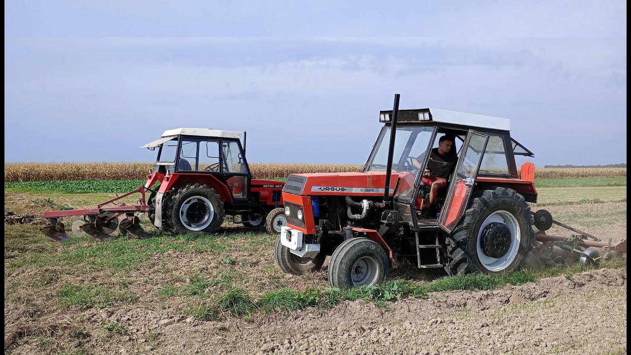 Orka pod pszenice Zetor 5211 i Ursus 385 Turbo