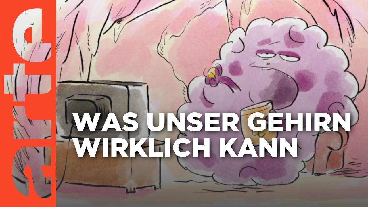 Eine Frage des Gehirns | Wer nicht fragt, stirbt dumm Reupload | ARTE