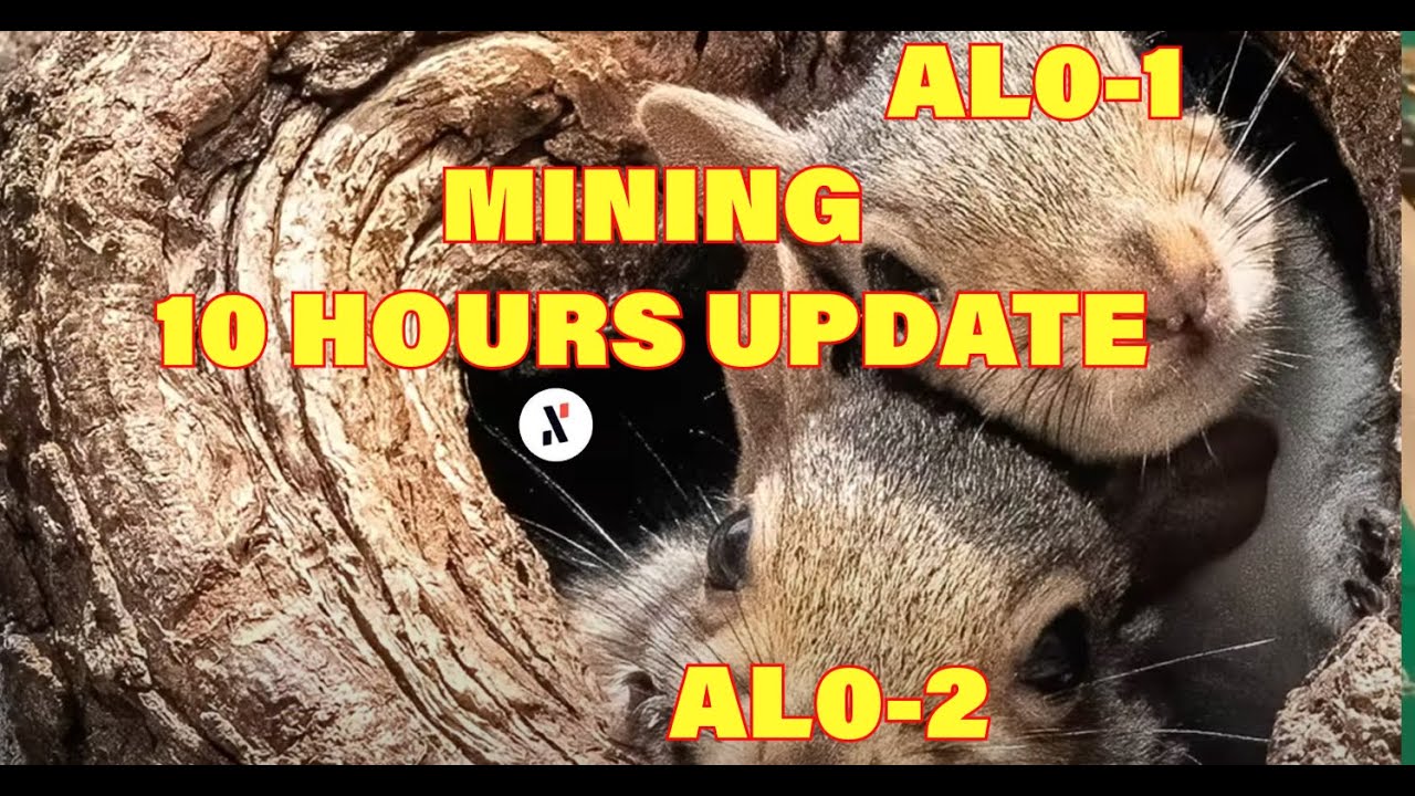 2x ICERIVER AL0 10 HOURS MINING UPDATE, MONITOR TOOL, ALPH NETWORK HASHRATE JUST UP $6.2M