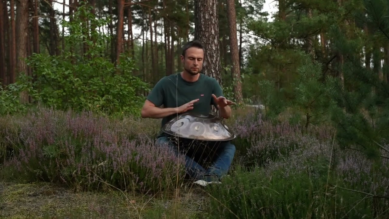 handpan meditation music in a Forrest... #handpan #handpanplayer #percussion #handpanyogamusic
