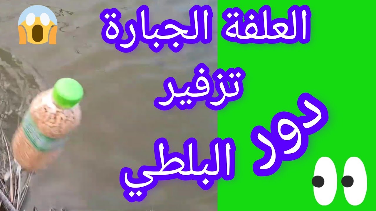 العلفة الجبارة 💪تزفير دور سمك البلطي 🐬وجرب بنفسك واحكم