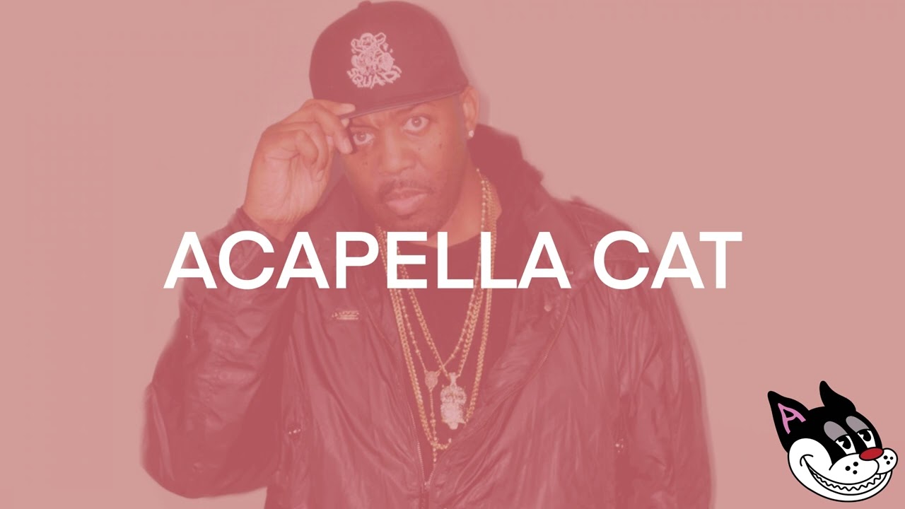Erick Sermon - Maintain Acapella 91 BPM - 4K Acapella Cat
