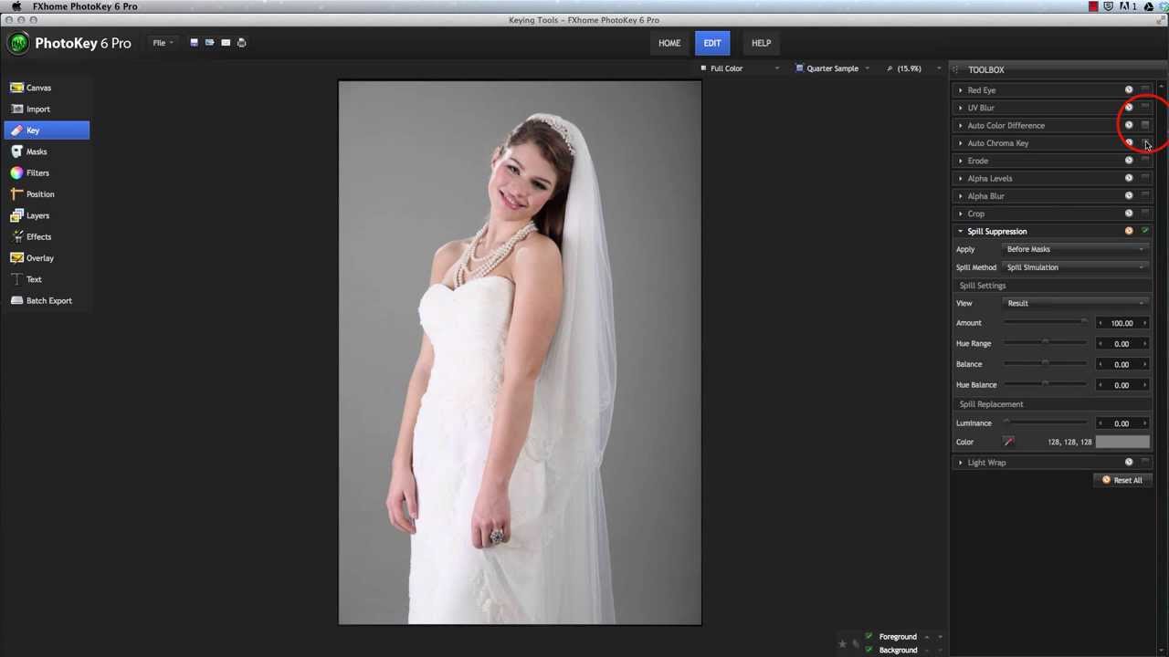 Keying in PhotoKey 6