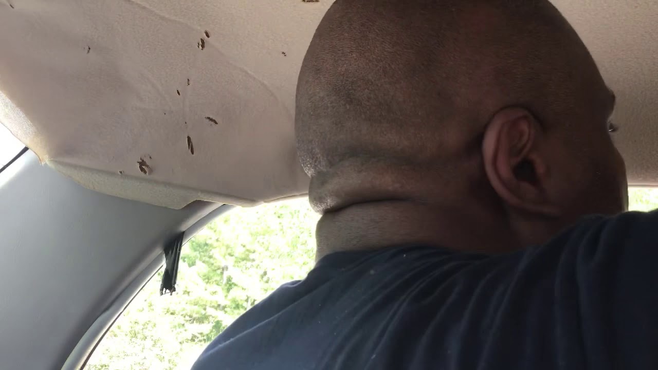 Toyota Corolla LE 2001 Headliner Repair Part 1