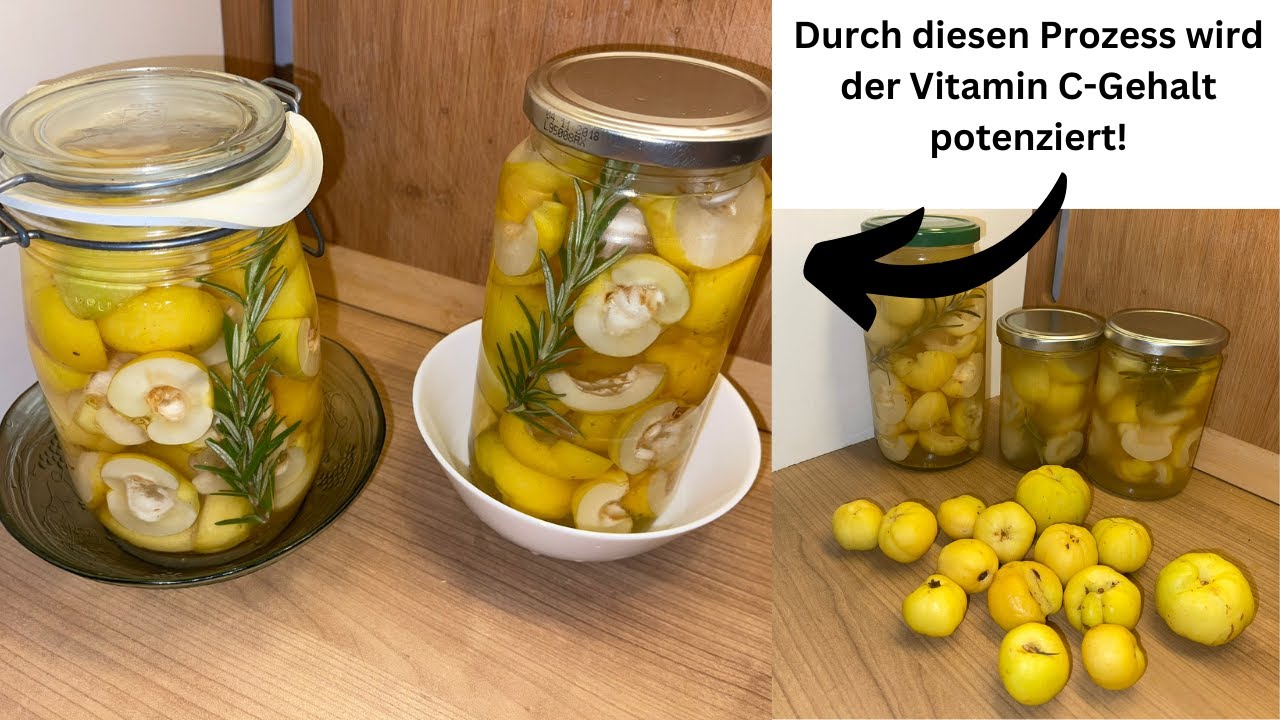 Kann man Zierquitten fermentieren?