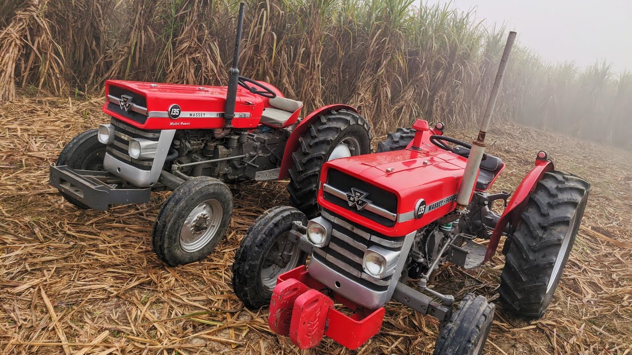 Massey Ferguson 135 (1967 & 1974) || Made in England