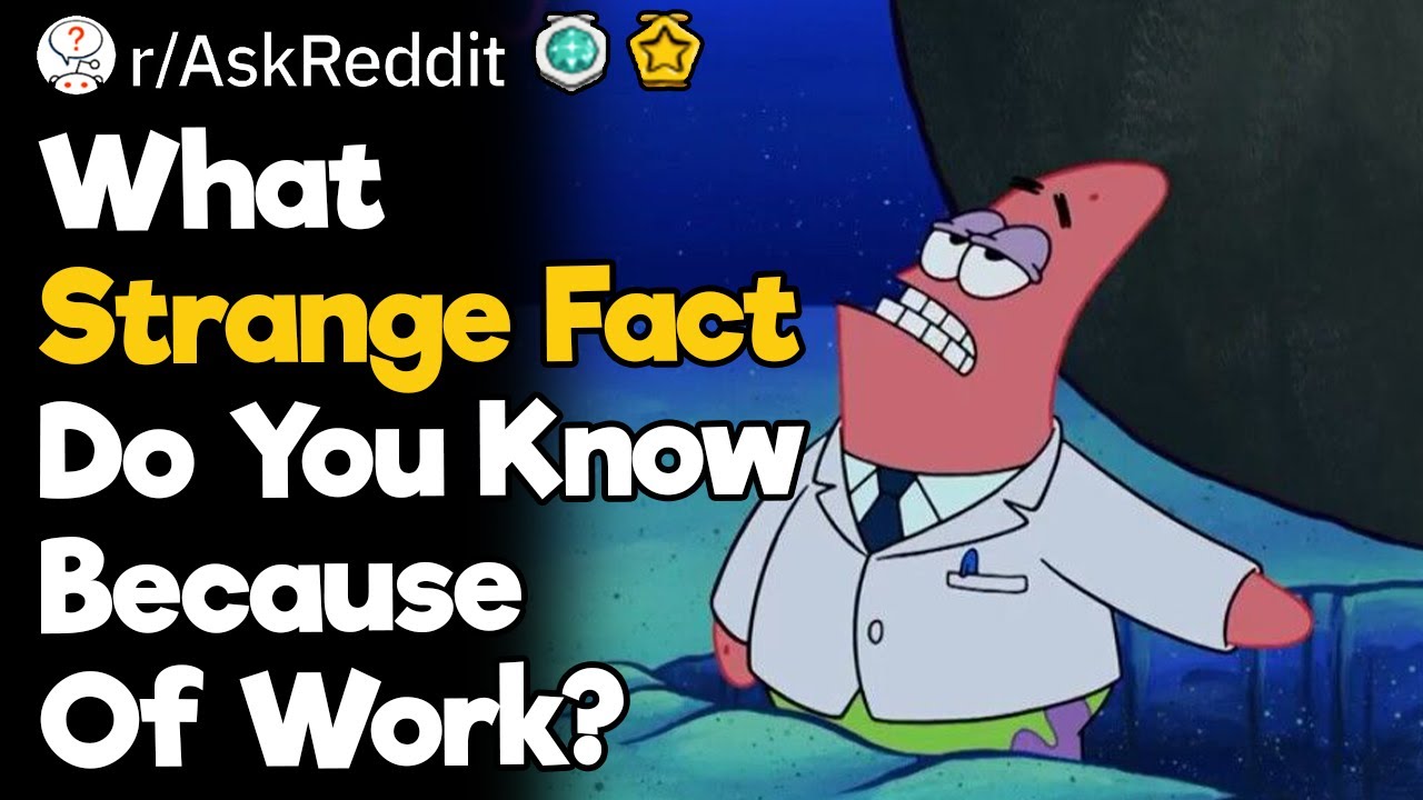 What Strange Fact Do You Know Because Of Work?