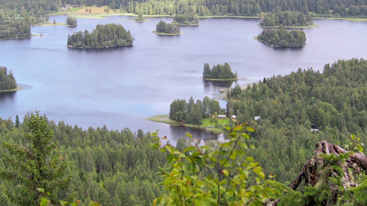 Peipon pesä