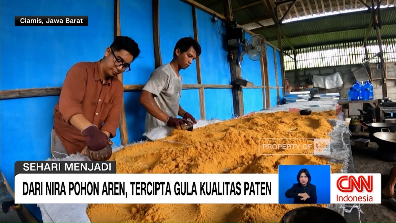 Dari Nira Pohon Aren, Tercipta Gula Kualitas Paten