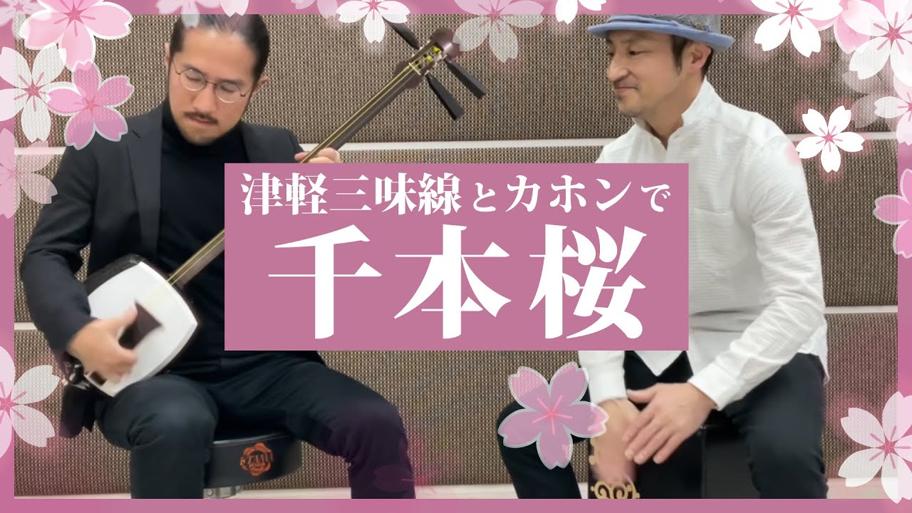 【千本桜】津軽三味線＆カホン演奏【講師演奏】