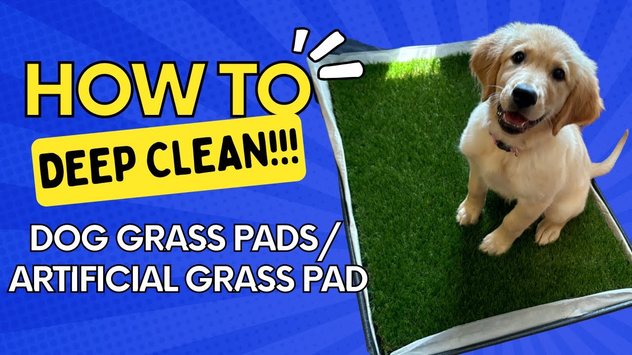 Ultimate Guide To Deep Clean Artificial Dog Grass Pee Pads | 2025 Edition