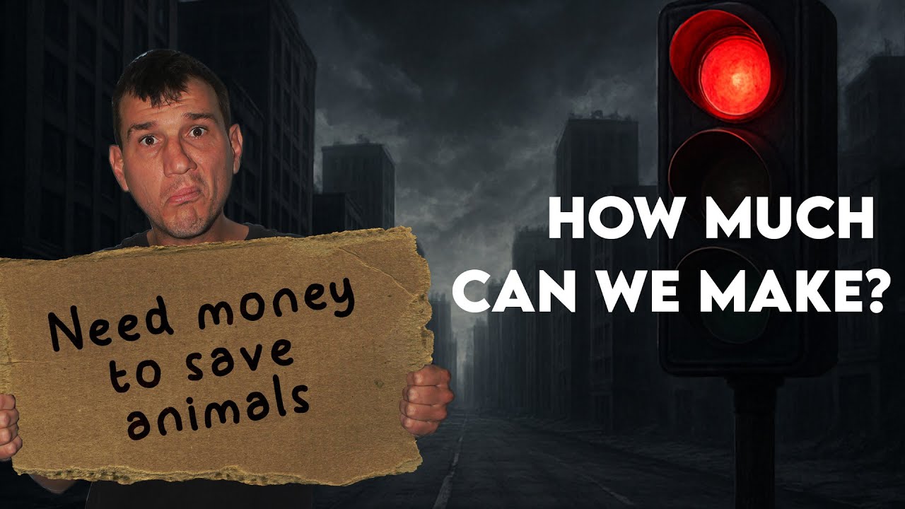 Begging To Build A Zoo!