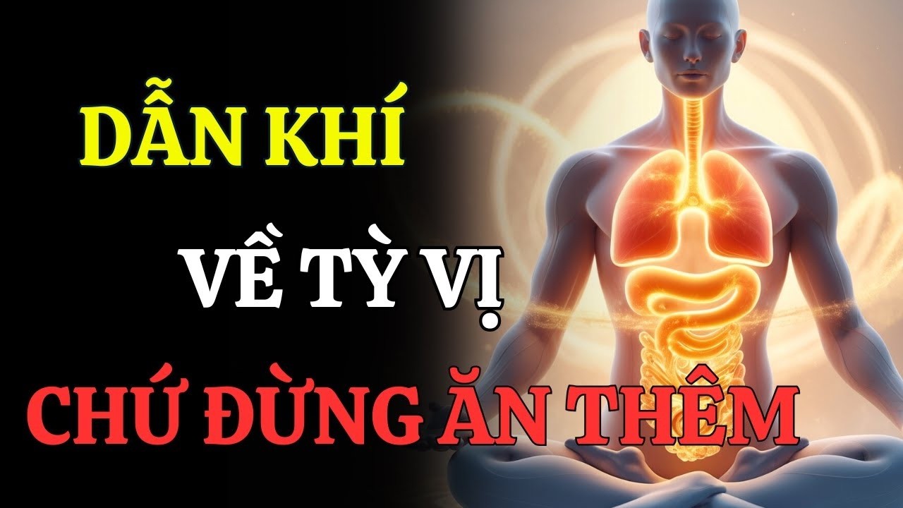 TỲ VỊ LÀ TRUNG TÂM SINH KHÍ – ĐỪNG ĂN THÊM, HÃY DẪN KHÍ VỀ ĐỦ!