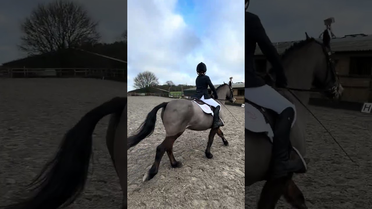 Chloe W & Skellorn Lord of the Dance