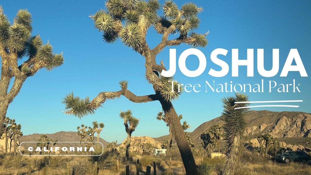 Joshua Tree National Park