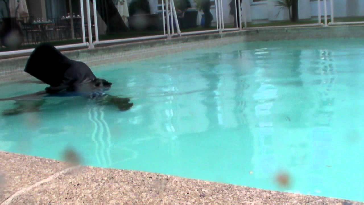 UGG... Swimming fully clothed in the hotel pool