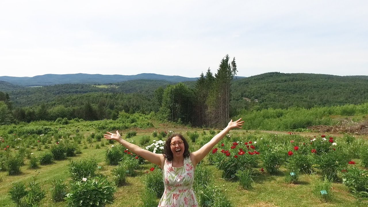 Countryman Peony Farm [SIV537]