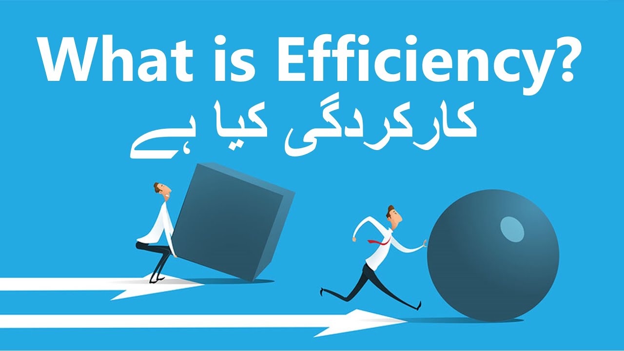 What is Efficiency in Urdu/Hindi