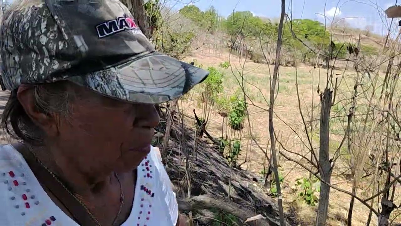 salimos a caminar y los encontramos  con una siembra de milpa y pipian🌱🌱🙏😯😯🌽🌽