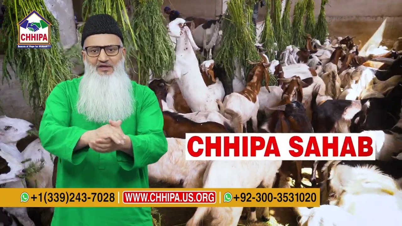 Chhipa Ijtamai Qurbani 2025 (Chhipa Sahab As Trustee)