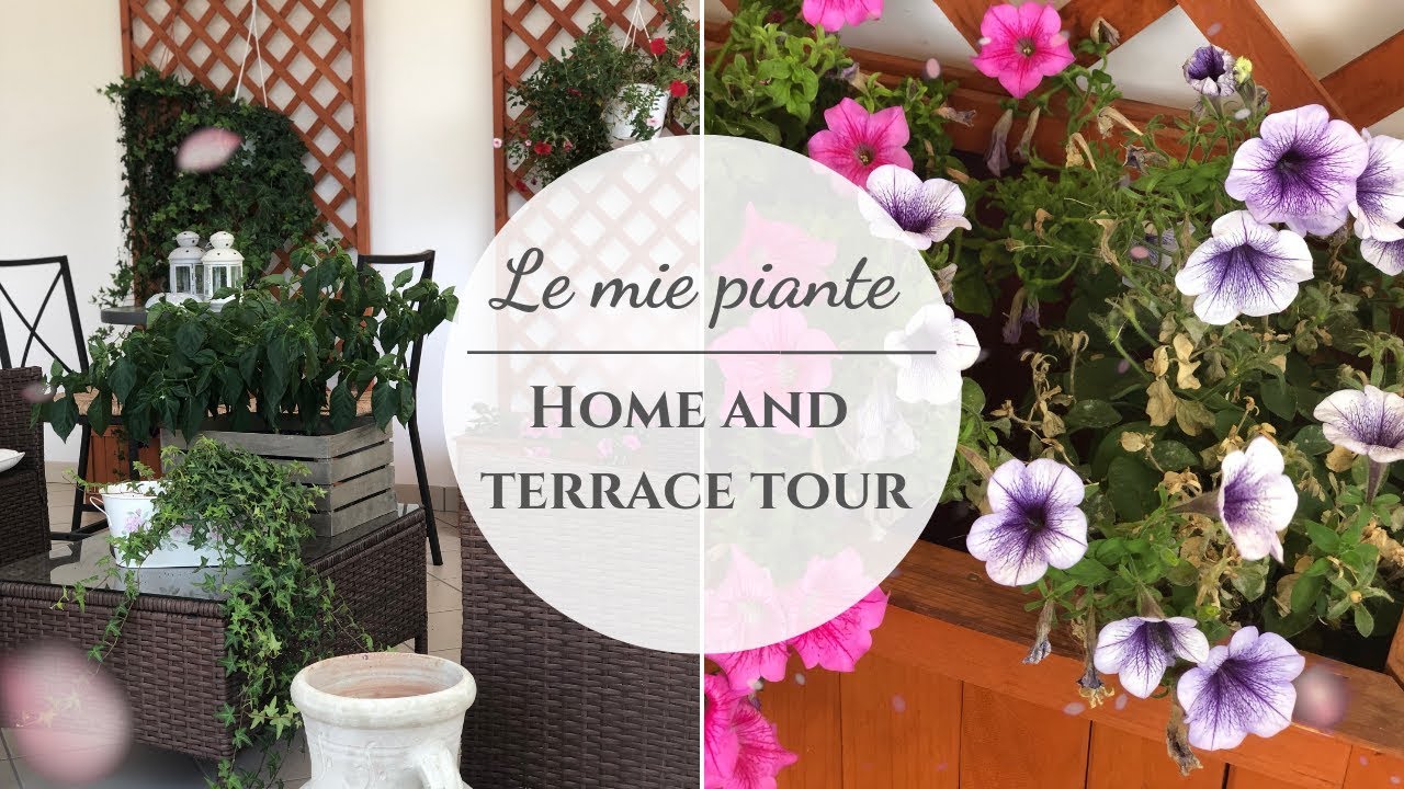 Tutte le mie PIANTE! Home and terrace tour