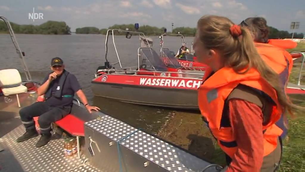Hochwasser 2013 in der Elbtalaue bei Hitzacker - NaturNah