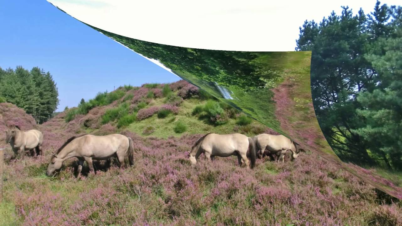 Sjra Claessen  Foto Film   Op de grote stille Heide   Veluwezoom
