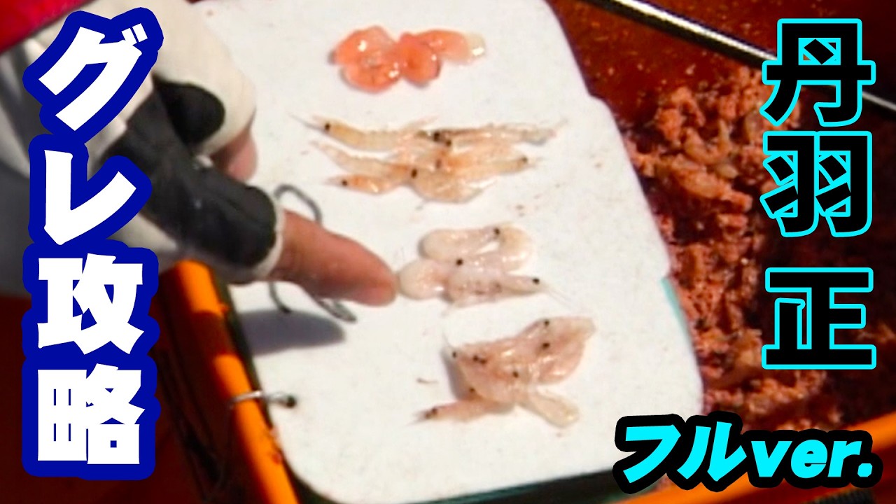 丹羽正が食い渋るメジナを攻略！伊豆半島で寒の時期の磯釣りを楽しむ 『ザ・激磯』＜フルver＞【釣りビジョン】