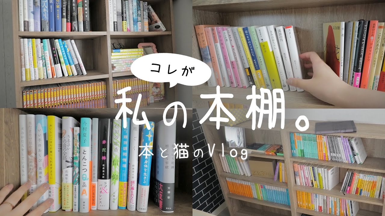[Книжная полка] Мой тур по книжной полке о моей любви к чтению📚 [Reading Vlog].