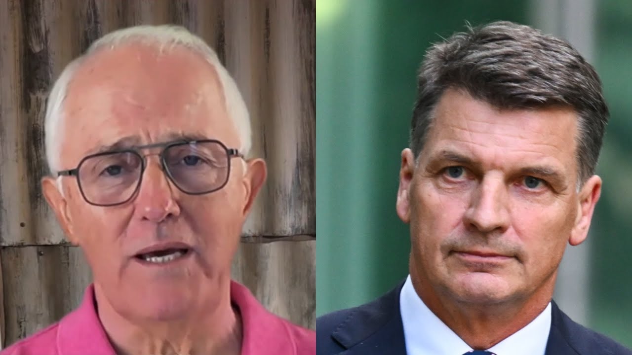 Malcolm Turnbull labels new Opposition Leader as ‘best qualified idiot’