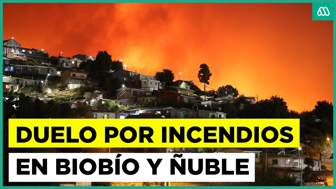 Duelo nacional por incendios: La tragedia que embarga a Biobío y Ñuble