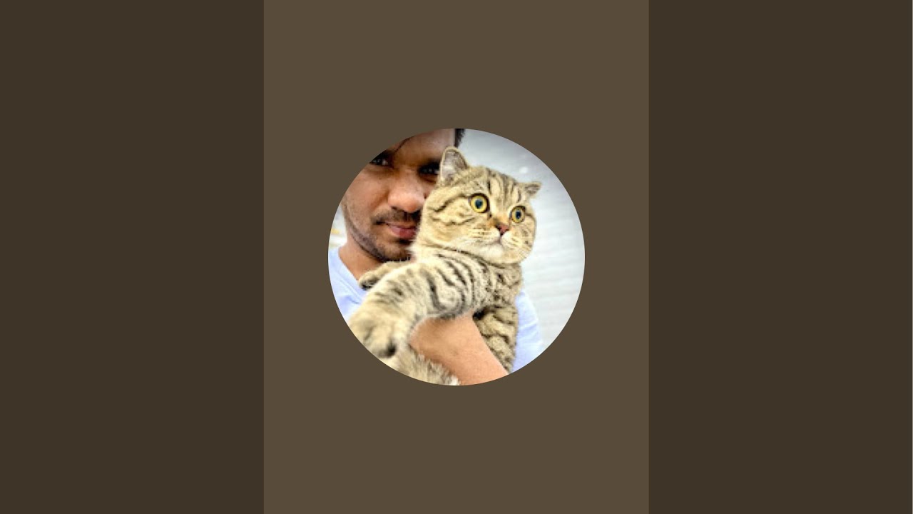 AjMiR is Cat is live