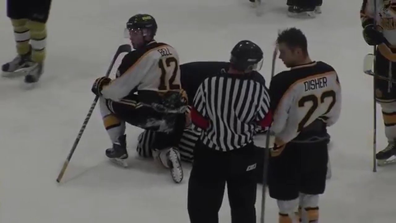 Linesman punched out