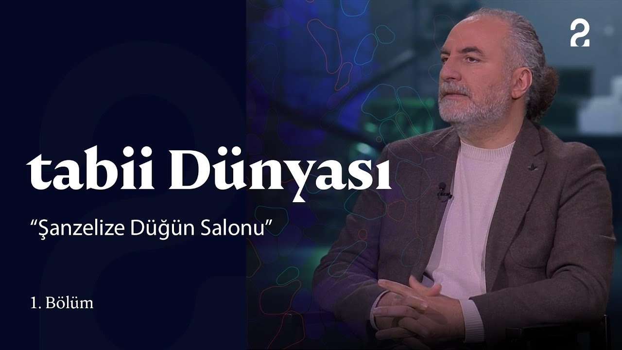 tabii Dünyası | 