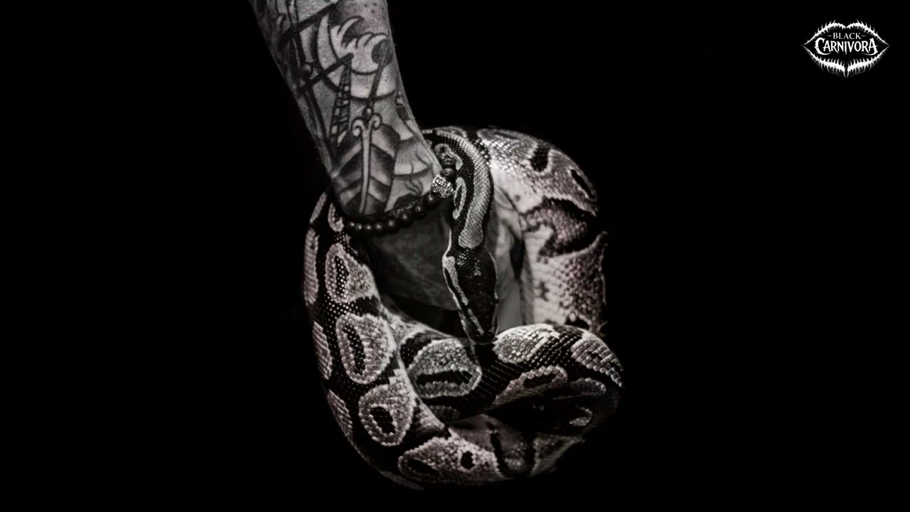 Serpent's Kiss | Alternative Rock 2026 | Atmospheric Shoegaze Rock | Dark Romance