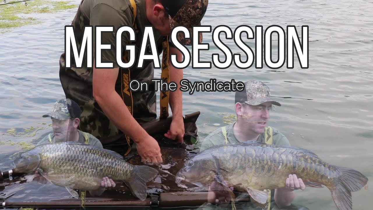 Mega Results On The Syndicate!