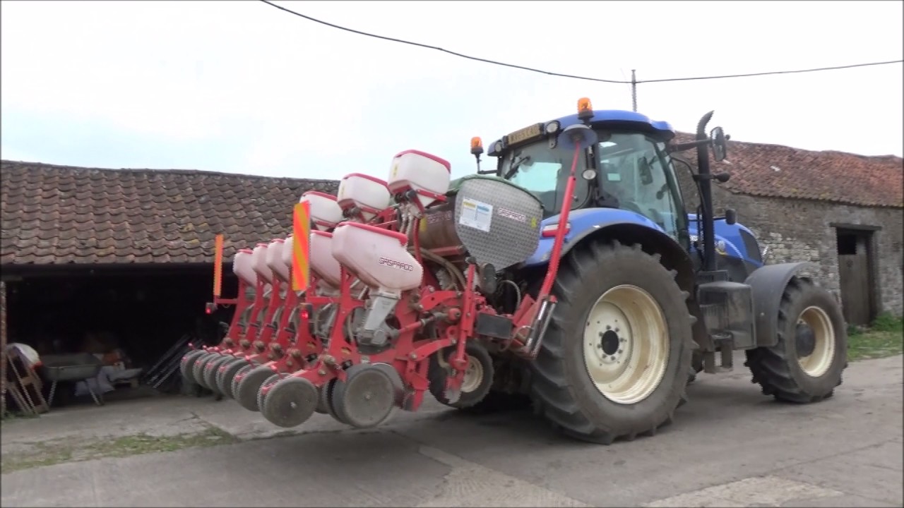 Maize drilling 2017