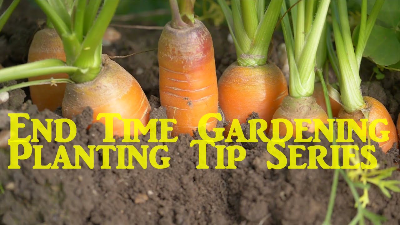 The #1 Key to Spring Planting | End Time Gardening