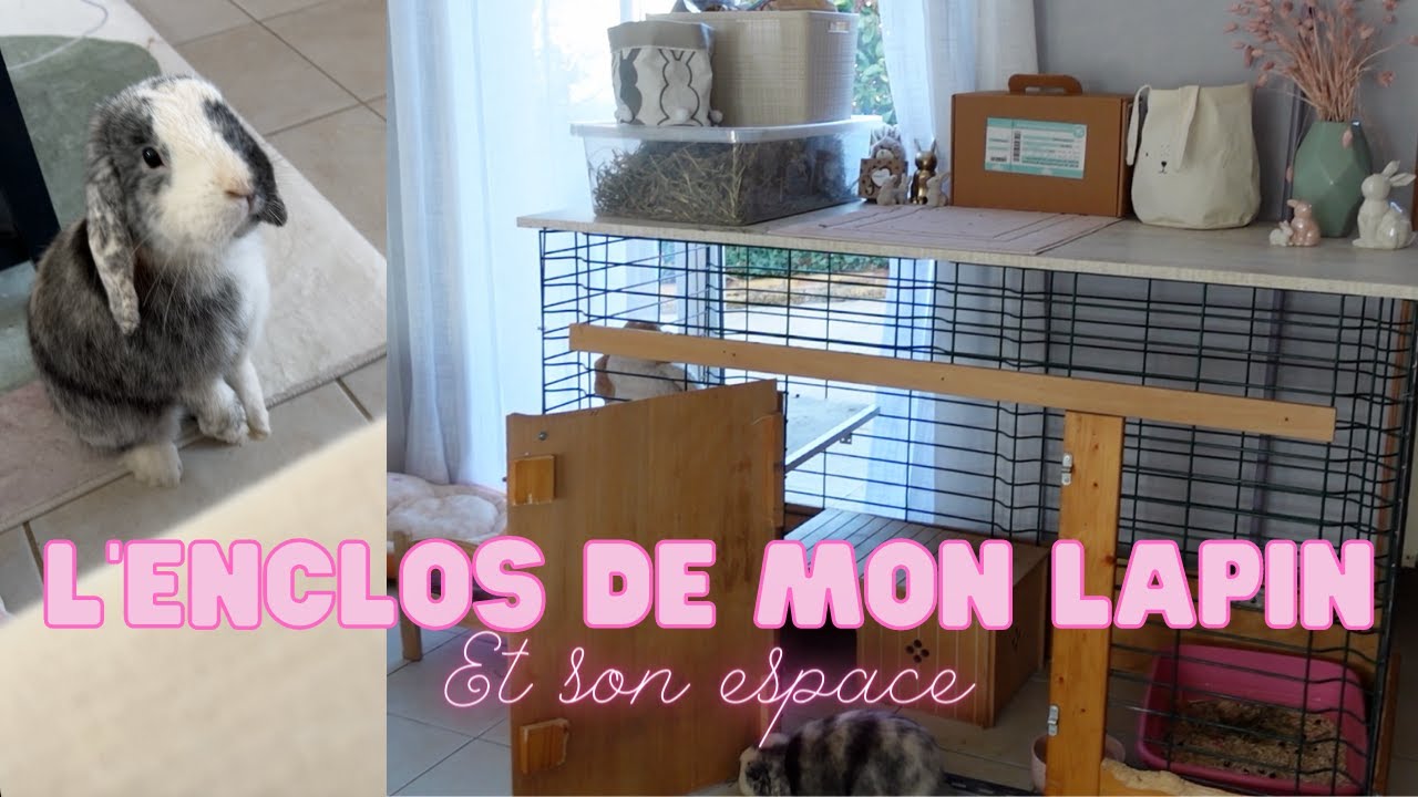 L'espace de mon LAPIN dans ma nouvelle MAISON
