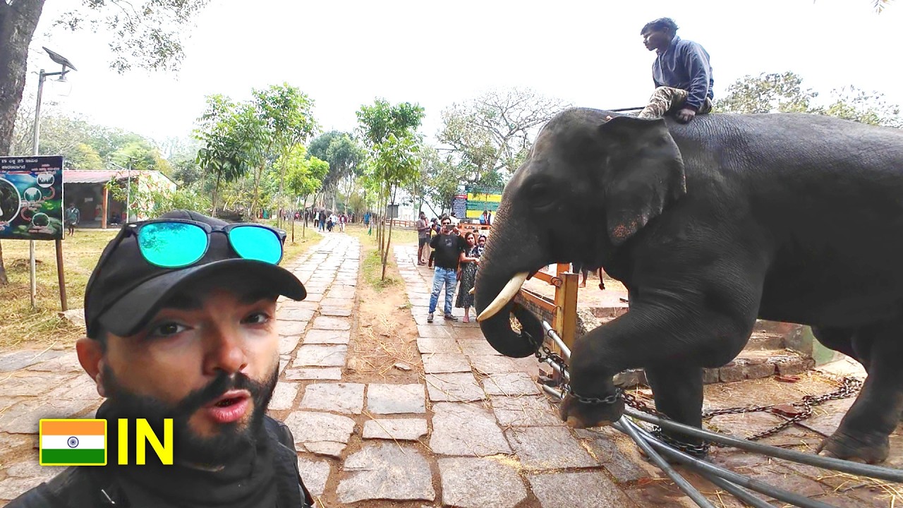 I Can't Believe How Elephants Are Treated Here, India S2 E16